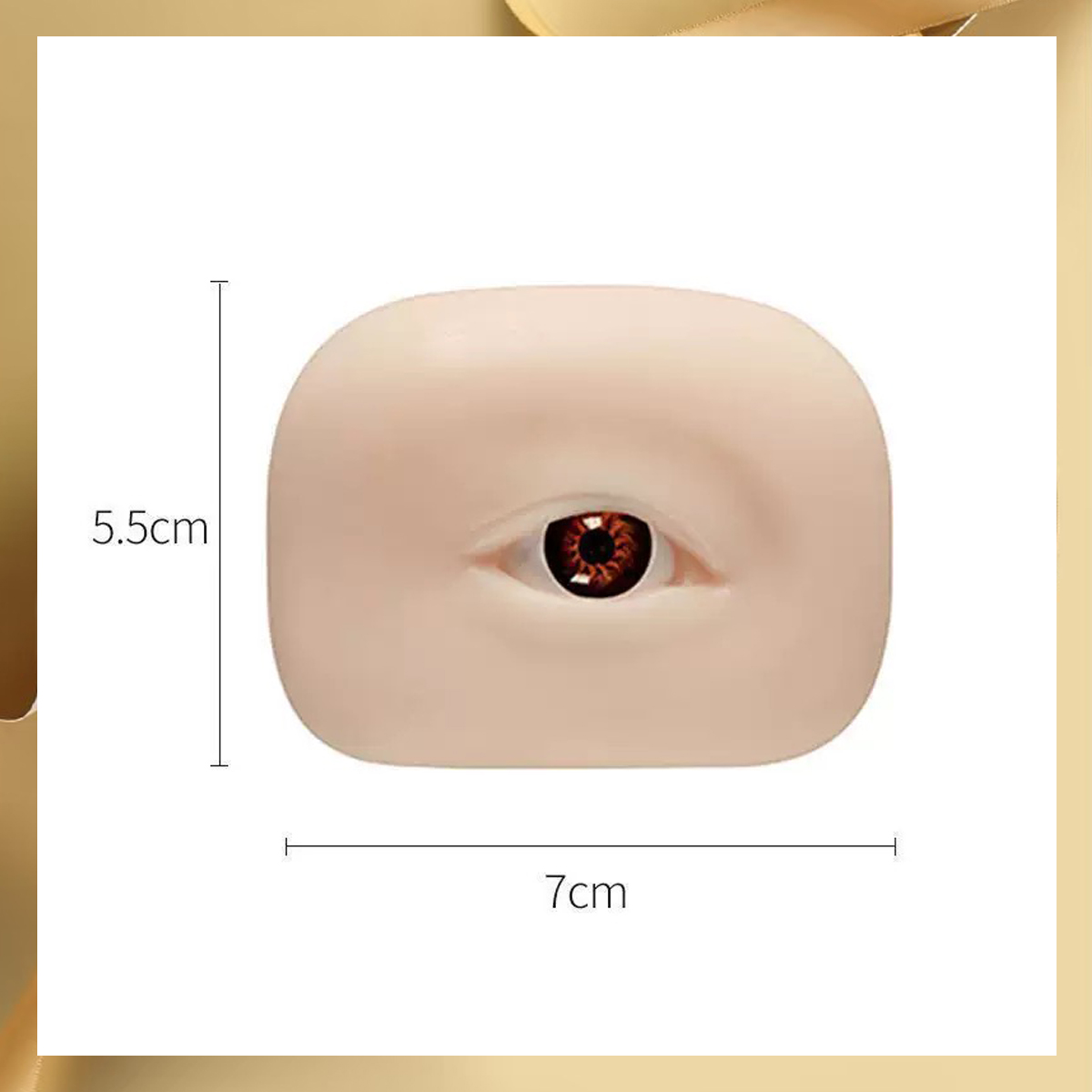 3D False Eyelash Mannequin Fla - Tech Accessories ulasan dan harga